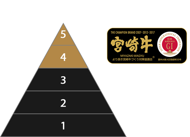 Meat Quality Grades